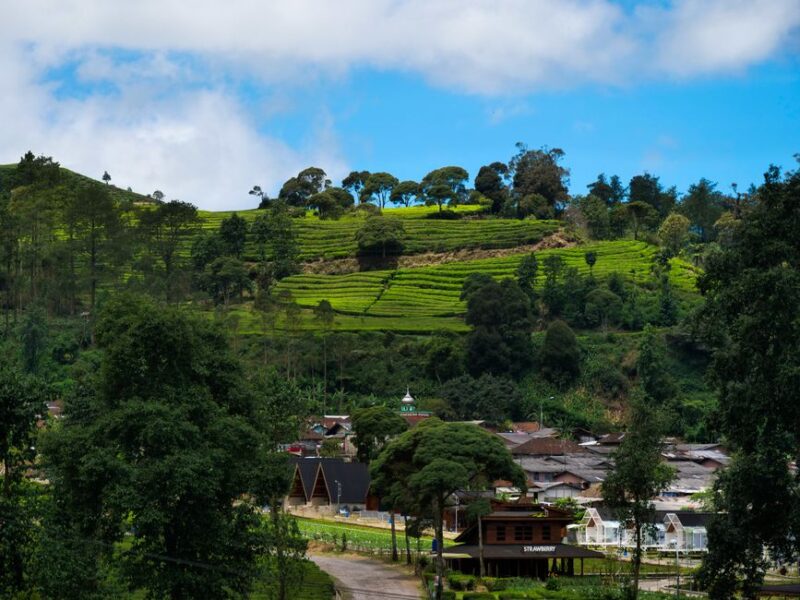 Ambassel Mountain Trek